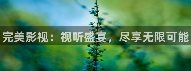 97午夜影院一区二区：完美影视：视听盛宴，尽享无限可能