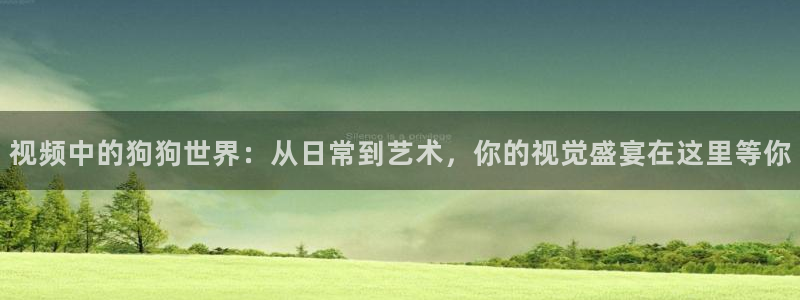 97色伦图片在线影院：视频中的狗狗世界：从日常到艺术，你的视觉盛宴在这里等你